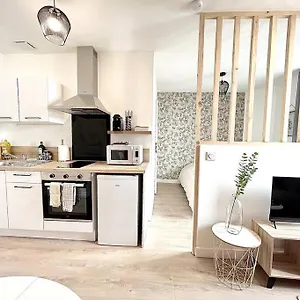 La Tourmaline Rouge - Appartement Romans-sur-Isère